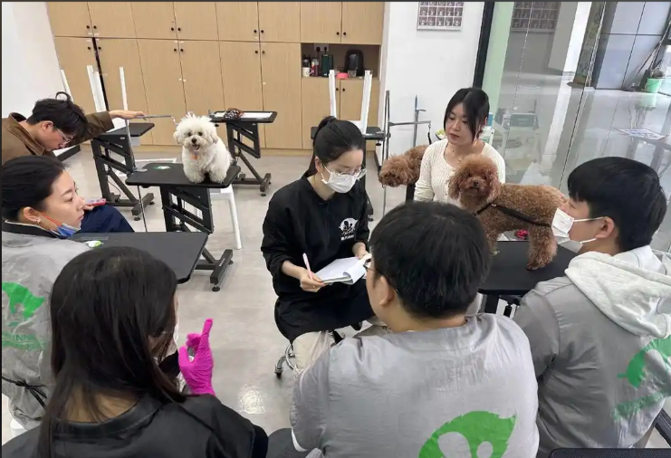 延安市宠物美容宠物美容培训学校 - 厂家